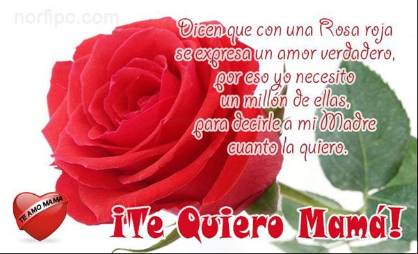 Postal para decirle a mi Madre que mi amor es verdadero