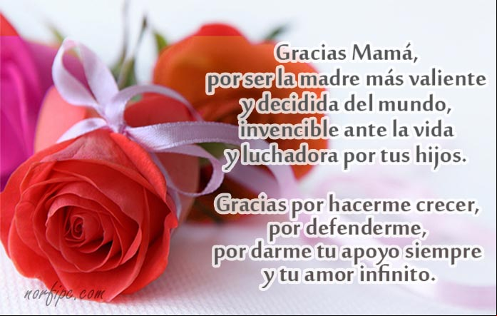 Palabras para una madre de verdad, valiente y ejemplar