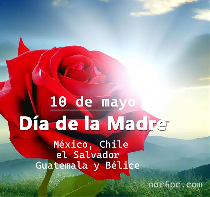 Gracias Mamá por todo tu amor y tu entrega. Postal para homenajear una Madre Rosa roja para homenajear una Madre