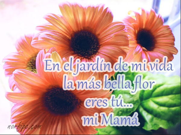 En el jardín de mi vida, la más bella flor eres tú, mi Mamá En el jardín de mi vida, la más bella flor eres tú, mi Mamá