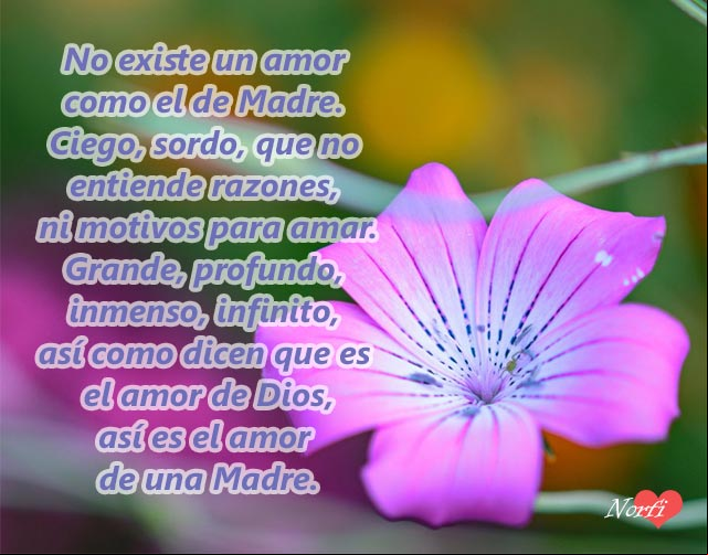 No existe un amor como el de Madre. Grande, profundo, inmenso, infinito, así como dicen que es el amor de Dios No existe un amor como el de Madre