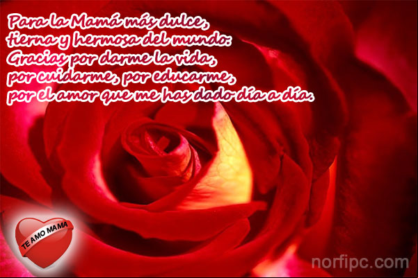 Para la Mamá más dulce, tierna y hermosa del mundo. Para la Mamá más dulce, tierna y hermosa del mundo.