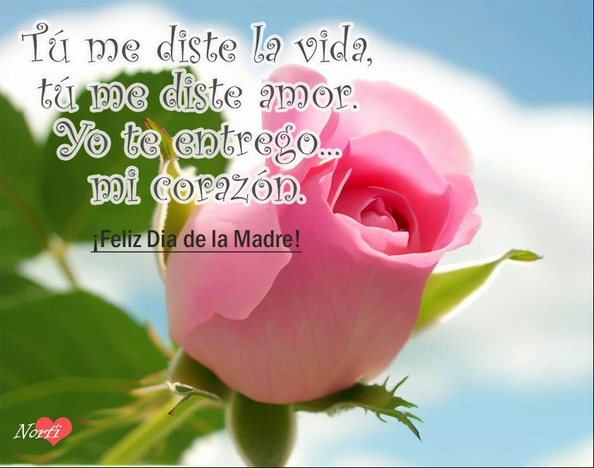 Tú me diste la vida, tú me diste amor. Yo te entrego mi corazón. ¡Feliz Dia de la Madre! Rosa con cielo azul de fondo con palabras dedicadas a la madre