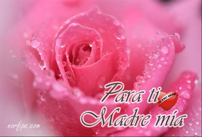Para ti Madre mía. Postal para mi Madre con todo mi amor y cariño Para ti Madre mía. Postal para mi Madre con todo mi amor y cariño