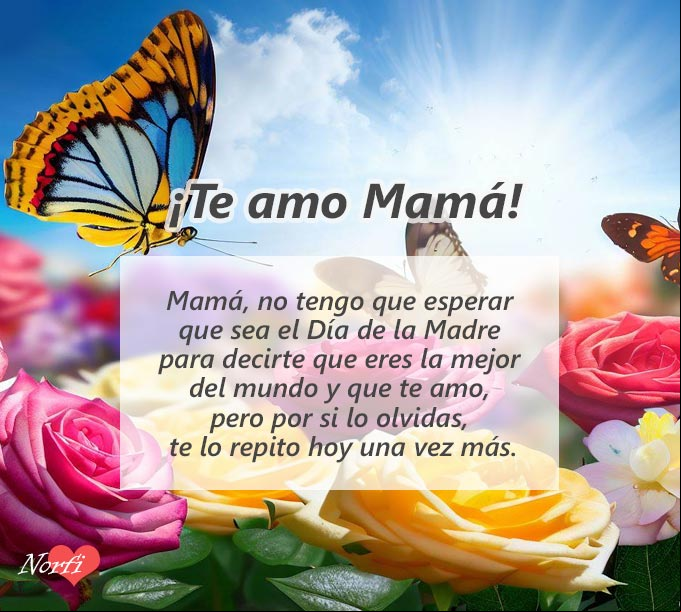 Mamá, no tengo que esperar que sea el Día de la Madre para decirte que eres la mejor del mundo y que te amo Una mariposa entre varias flores
