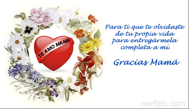 Guardo un eterno agradecimiento y cariño pata ti Mamá. Guardo un eterno agradecimiento y cariño pata ti Mamá