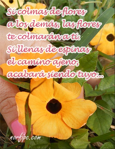 Todo lo que les hagas a los demás, te lo estás haciendo a ti, porque las cosas retornan de todas partes ampliadas mil veces. Si colmas de flores a los demás, las flores te colmarán a ti. Si llenas de espinas el camino ajeno, acabará siendo tuyo. #Osho El camino ajeno