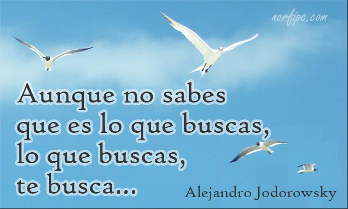 Aunque no sabes que es lo que buscas, lo que buscas, te busca... #Pensamiento de Alejandro Jodorowsky sobre la vida y el destino. Frases espirituales sobre el destino, la vida y la muerte