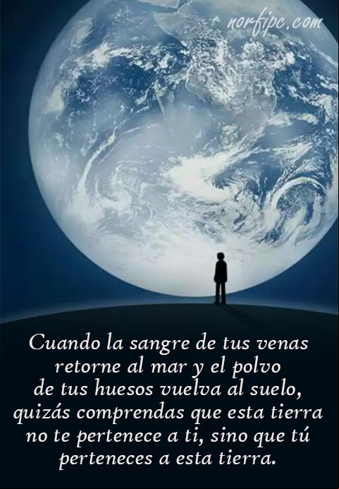 Cuando la sangre de tus venas retorne al mar y el polvo de tus huesos vuelva al suelo, quizás comprendas que esta tierra no te pertenece a ti, sino que tú perteneces a esta tierra. #Pensamiento indígena Perteneces a esta tierra
