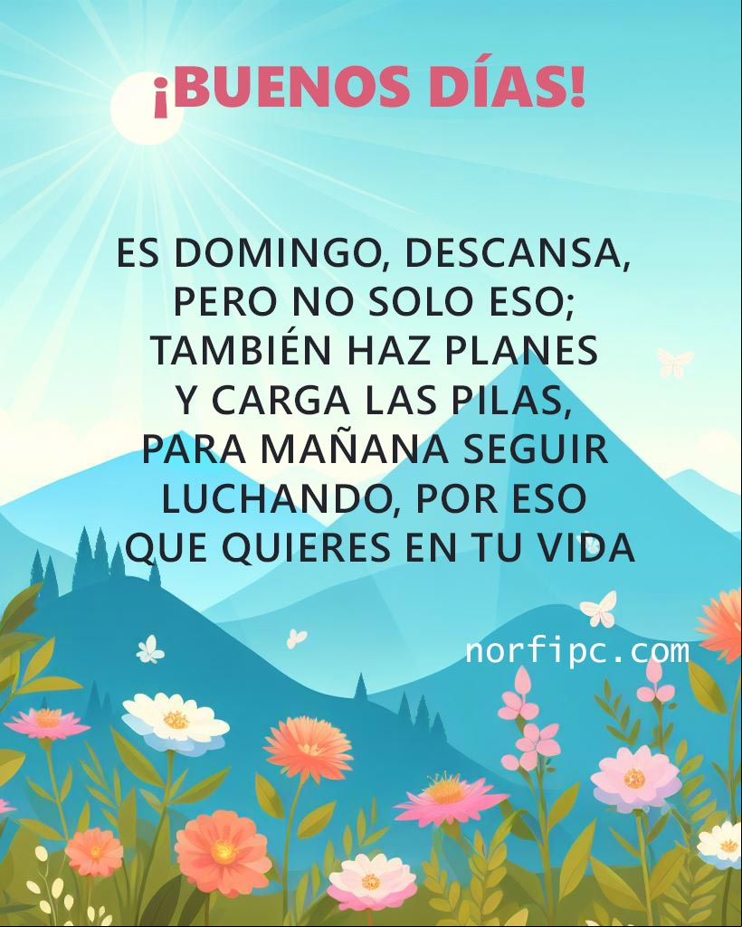 Hoy es domingo, descansa, pero no solo eso; también haz planes y carga las pilas, para mañana seguir luchando, por eso que quieres en tu vida Ilustración de campo con flores al amanecer