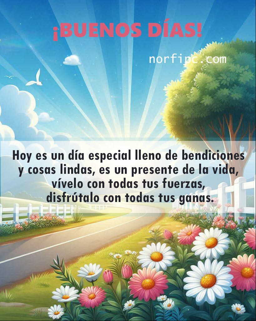 Hoy es un día especial lleno de bendiciones y cosas lindas. Vívelo con todas tus fuerzas, es un presente de la vida, disfrútalo con todas tus ganas Paisaje de campo con flores al amanecer