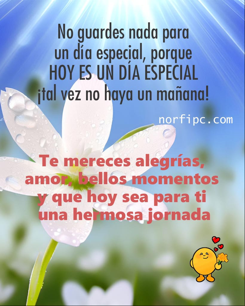 No guardes nada para un día especial, porque hoy es un DÍA ESPECIAL, ¡tal vez no haya un mañana! Te mereces alegrías, amor, bellos momentos y que hoy sea una hermosa jornada Flor blanca bajo el sol de la mañana