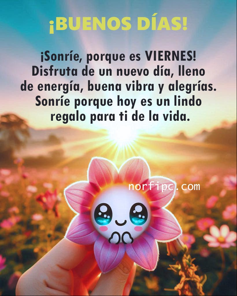 ¡Sonríe, porque es viernes! Disfruta de un nuevo día, lleno de energía, buena vibra y alegrías. Sonríe porque hoy es un lindo regalo para ti de la vida Mano con flor al amanecer