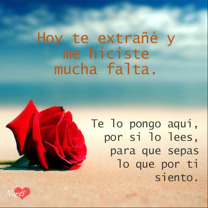 Hoy te extrañé y me hiciste mucha falta. Te lo pongo aquí, por si lo lees, para que sepas lo que por ti siento Rosa roja sobre la arena de una playa solitaria