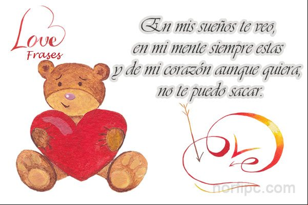 En mis sueños te veo, en mi mente siempre estás y de mi corazón aunque quiera, no te puedo sacar Frase de amor para la persona en mi vida