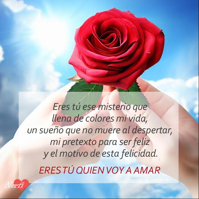 Eres tú ese misterio que llena de colores mi vida, un sueño que sigue vivo al despertar, mi pretexto para ser feliz y el motivo de esta felicidad. Eres tú quien voy a amar Manos con una rosa roja
