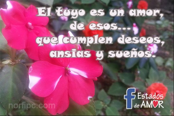 El tuyo es un amor, de esos que cumplen deseos, ansias y sueños Estado de Facebook para un amor en agradecimiento