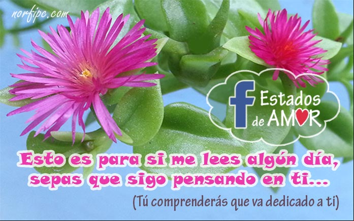 Esto es para si me lees algún día, sepas que sigo pensando en ti... Estados para Facebook de Amor