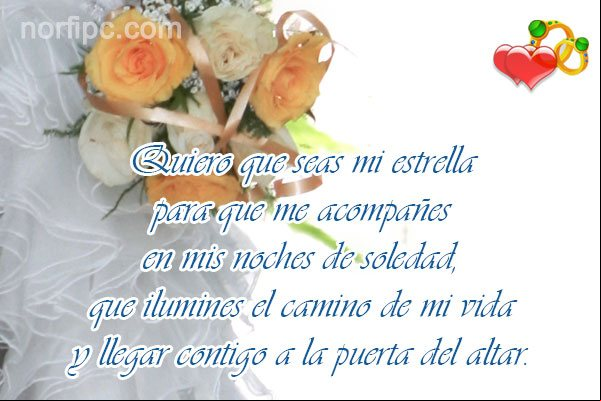 Quiero que seas mi estrella para que me acompañes en mis noches de soledad, que ilumines el camino de mi vida y llegar contigo a la puerta del altar Foto con frase sobre el amor y la felicidad
