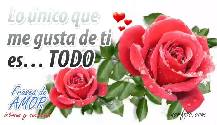 Frases de amor íntimas y secretas, para mi pareja o ilusión