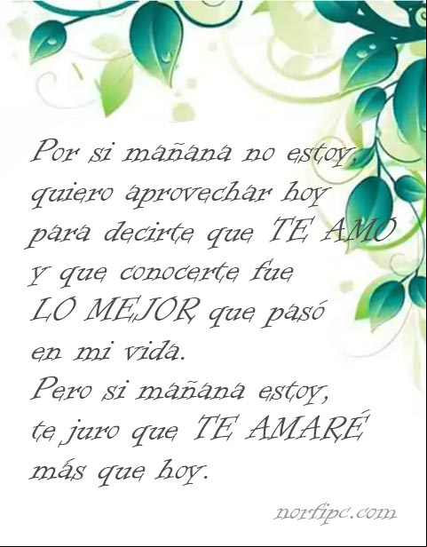 Por si mañana no estoy, quiero aprovechar hoy para decirte que te amo y que conocerte fue lo mejor que pasó en mi vida. Pero si mañana si estoy, te juro que te amaré más que hoy. #MensajesAmor Por si mañana no estoy