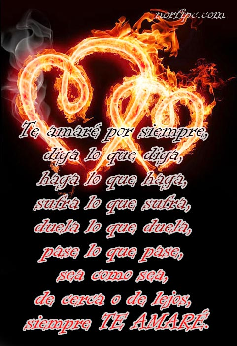 Te amaré por siempre, diga lo que diga, haga lo que haga, sufra lo que sufra, duela lo que duela, pase lo que pase, sea como sea, de cerca o de lejos, siempre te amaré. #MensajesAmor Te amare por siempre