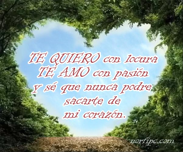 Te quiero con locura, te amo con pasión y sé que nunca, nunca podre sacarte de mi corazón. #MensajesAmor Te quiero con locura