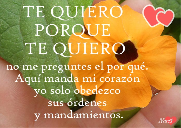 Te quiero porque te quiero. Mensaje de amor