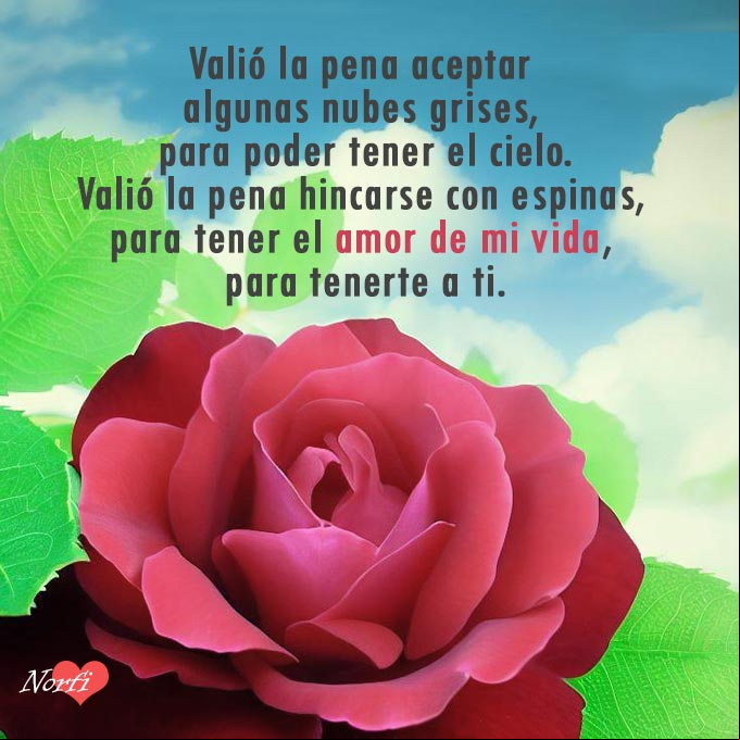 Valió la pena aceptar algunas nubes grises, para poder tener el cielo. Valió la pena hincarse con espinas, para tener el amor de mi vida, para tenerte a ti Rosa roja, detras nubes y el cielo azul