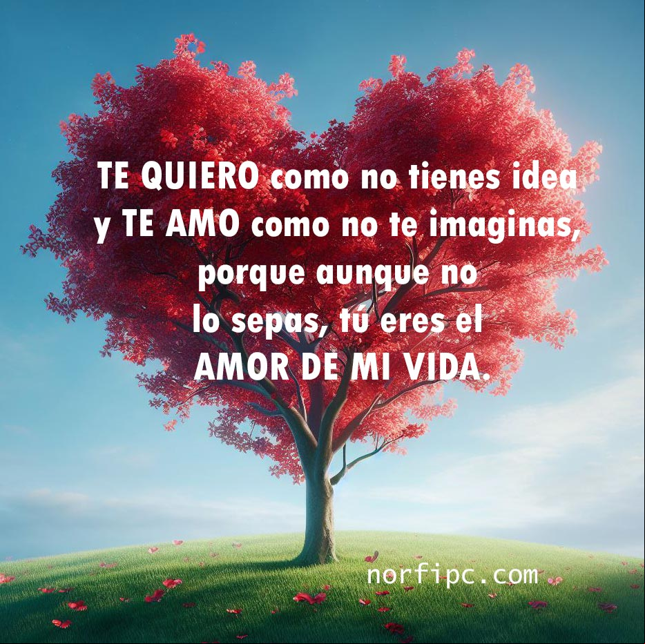 Te quiero como no tienes idea y te amo como no te imaginas, es que, aunque no lo sepas, tú eres el amor de mi vida Arbol con forma de corazon