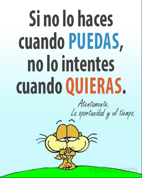 Si no lo haces cuando puedas, no lo intentes cuando quieras. Atte. La oportunidad y el tiempo Quote o cita sobre las oportunidades