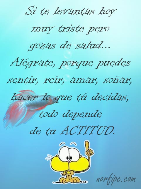 Si te levantas hoy muy triste pero gozas de salud, alégrate porque puedes sentir, reír, amar, soñar, hacer lo que tú decidas, todo depende de tu #Actitud Depende de tu actitud
