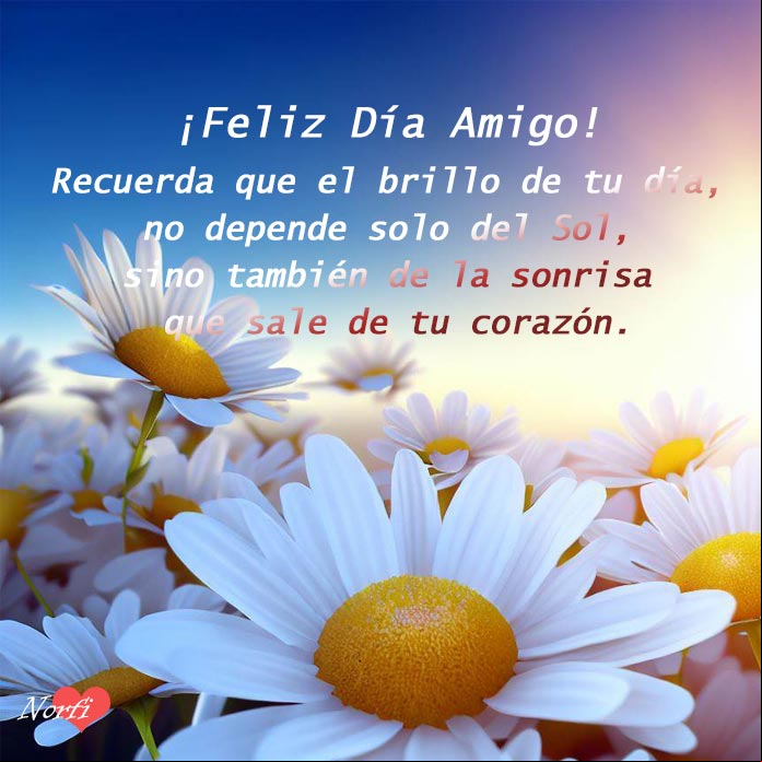 Flores de margarita al amanecer