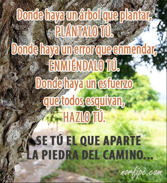 Donde haya un árbol que plantar, plántalo tú. Donde haya un error que enmendar, enmiéndalo tú. Donde haya un esfuerzo que todos esquivan, hazlo tú. Se tú el que aparte la piedra del camino. #FraseMotivadora Hazlo tu