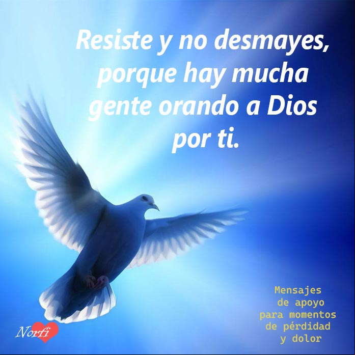 Resiste y no desmayes, porque hay mucha gente orando a Dios por ti Paloma volando bajo los rayos de sol y el cielo azul