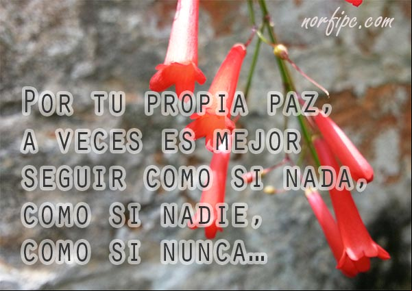 Por tu propia paz, a veces es mejor seguir como si nada, como si nadie, como si nunca... #FraseMotivadora Por tu propia paz