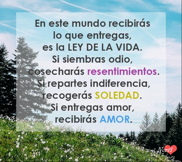 En este mundo recibirás lo que entregas, si entregas amor, recibirás AMOR En este mundo recibirás lo que entregas, si entregas amor, recibirás AMOR