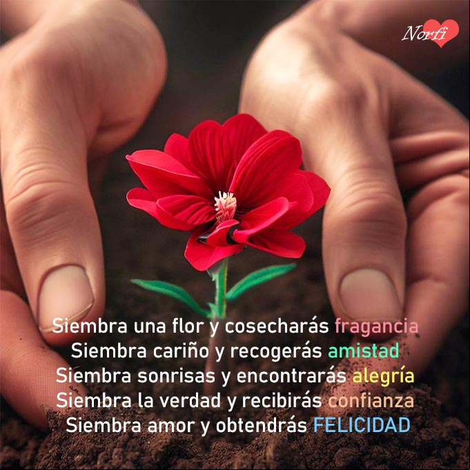 Siembra flores y cosecharás fragancia. Siembra cariño y recogerás amistad. Siembra sonrisas y encontrarás alegría. Siembra la verdad y recibirás confianza. Siembra amor y obtendrás felicidad #FraseMotivadora Manos sembrando una flor en la tierra