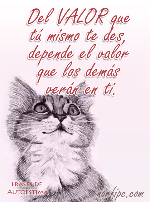 Del valor que tú mismo te des, depende el valor que los demás verán en ti. #Autoestima Te tengo conmigo siempre, a pesar de la distancia
