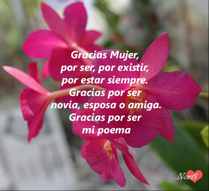 Gracias Mujer, por ser, por existir, por estar siempre. Gracias por ser novia, esposa o amiga. Gracias por ser mi poema Orquideas rojas con un poema de dar gracias a la Mujer