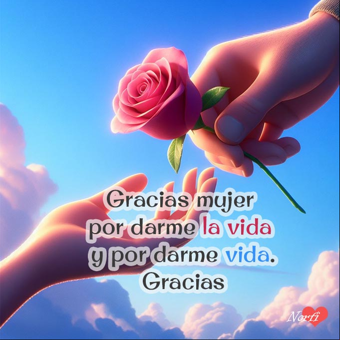 Gracias mujer por darme la vida y por darme vida. Gracias. Mano de un hombre entregando una rosa a una mujer