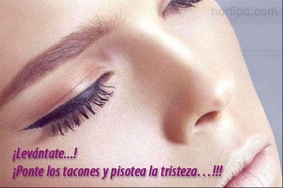 ¡Levántate...! ¡Ponte los tacones y pisotea la tristeza....! Reglas de mujeres