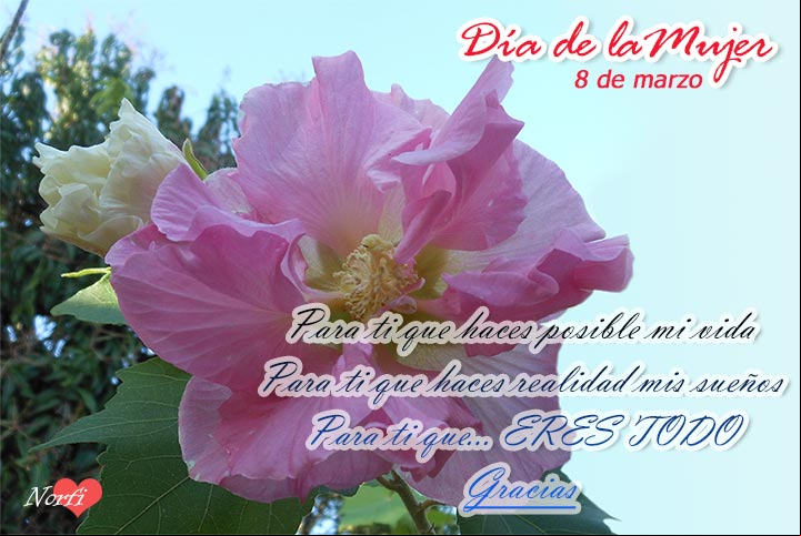 Para ti mujer que haces posible mi vida. Para ti que haces realidad mis sueños. Para ti que... ERES TODO. Gracias Postales para el 8 de marzo Día Internacional de la Mujer