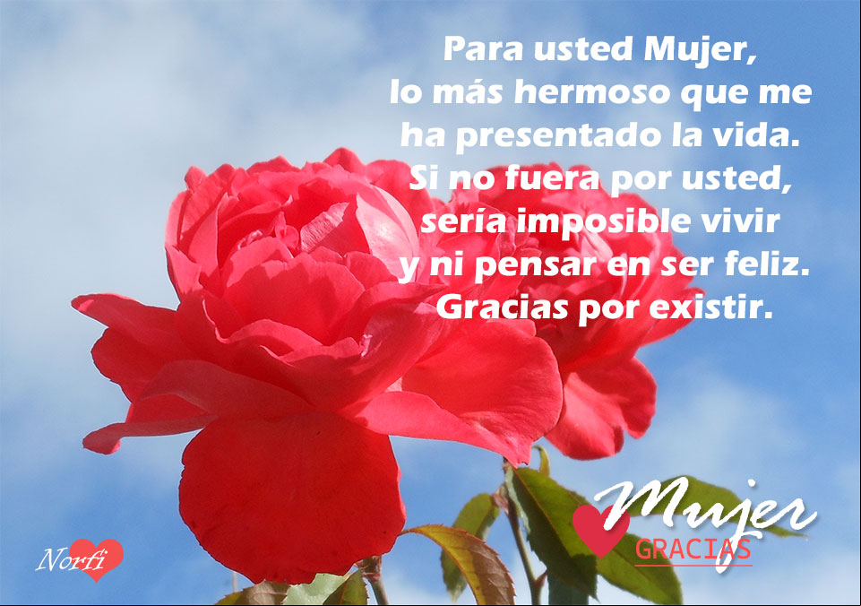Rosa roja con el cielo azul de fondo para felicitar una Mujer