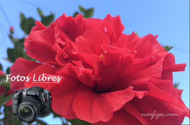 Fotos libres de la naturaleza y el medio ambiente en Cuba