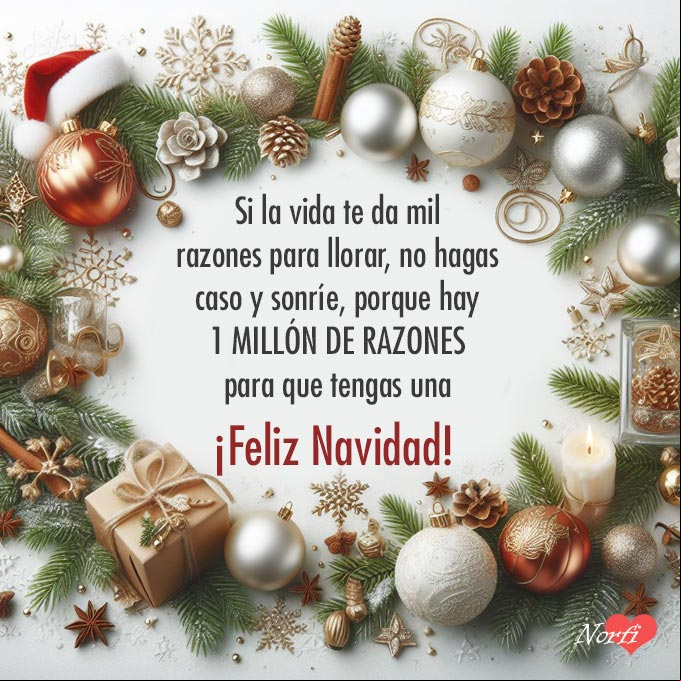 Si la vida te da mil razones para llorar, no le hagas caso y sonríe, porque hay 1 MILLÓN DE RAZONES para que tengas una ¡Feliz Navidad! Postal para felicitar en Navidad