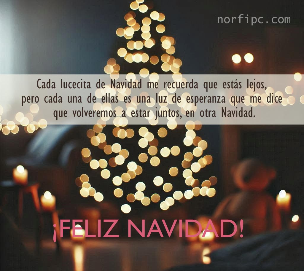 Cada lucecita de Navidad me recuerda que estás lejos, pero cada una de ellas es una luz de esperanza, que me dice que volveremos a estar juntos, en otra Navidad Lucecitas de un arbolito de Navidad