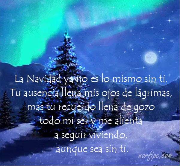 La Navidad ya no es lo mismo sin ti. Tu ausencia llena mis ojos de lágrimas, mas tu recuerdo llena de gozo todo mi ser y me alienta a seguir viviendo, aunque sea sin ti. #Navidad Esta Navidad sin ti