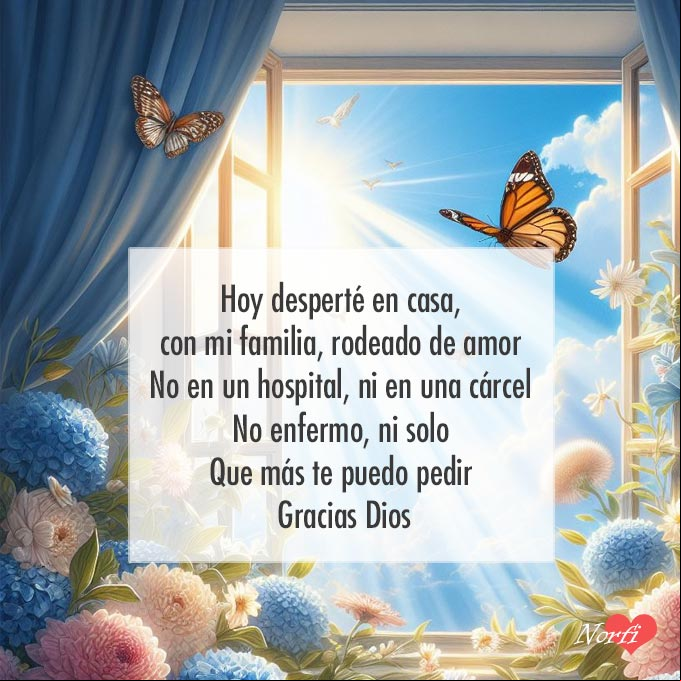 Hoy desperté en casa, con mi familia y rodeado de amor. No en un hospital, ni en una cárcel. No enfermo, ni solo. Que más te puedo pedir. Gracias Dios Rayos de sol entrando por una ventana, flores, mariposa, cielo azul