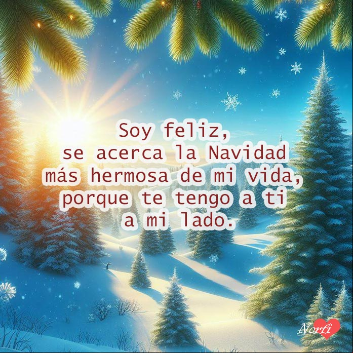 Paisaje de navidad, arboles con nieve cielo azul rayos del sol